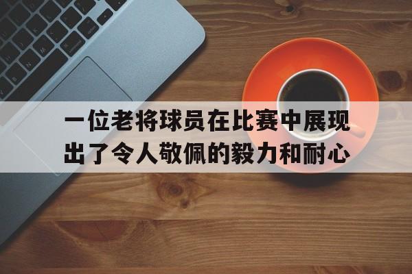 一位老将球员在比赛中展现出了令人敬佩的毅力和耐心的简单介绍